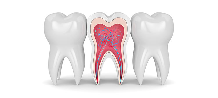 Dr. Renato Alcantara - Endodontia