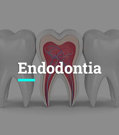 Endodontia